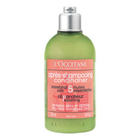 ���N�V�^�� �t�@�C�u�n�[�u�X ���y�A�����O�R���f�B�V���i�[ 250ml�摜