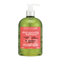 ���N�V�^�� �t�@�C�u�n�[�u�X ���y�A�����O�V�����v�[ 500ml�摜