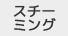 �X�`�[�~���O