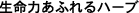 �����͂��ӂ��n�[�u
