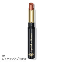 ドクターハウシュカ リップスティックノウム 10 レイバックアプリコット画像